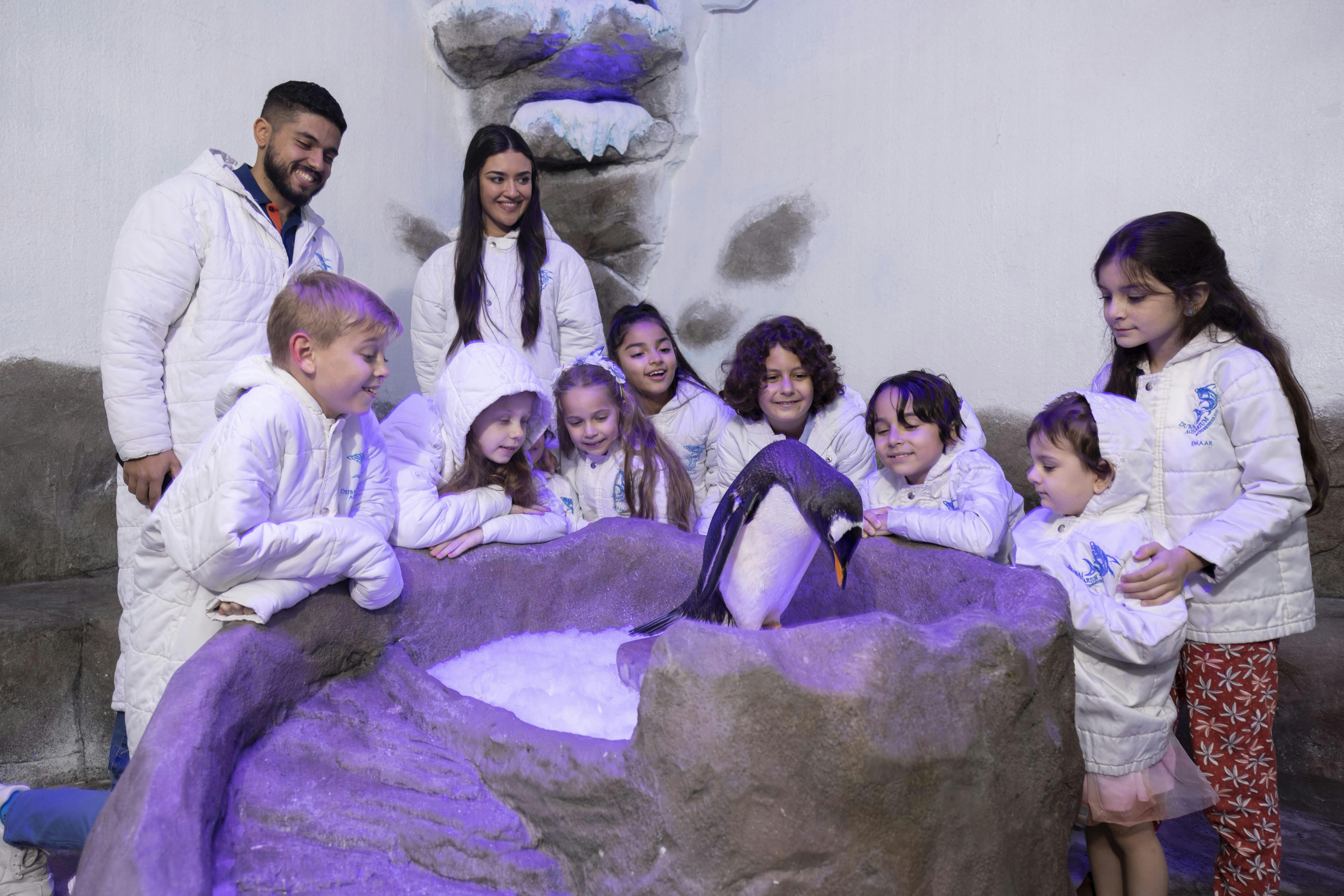 Dubai Aquarium & Underwater Zoo: Entry Ticket + Penguin Encounter - Photo 1 of 11